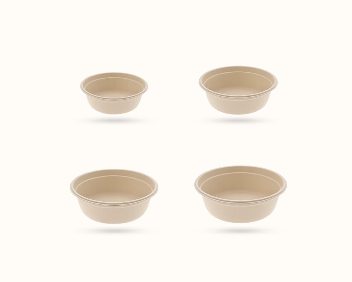 Bagasse Containers