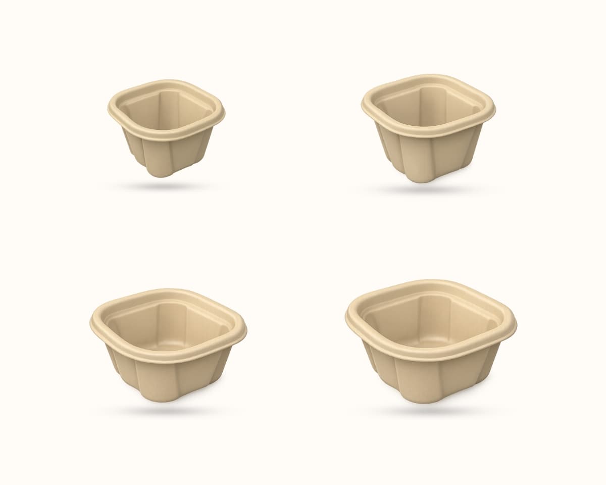 Bagasse Containers