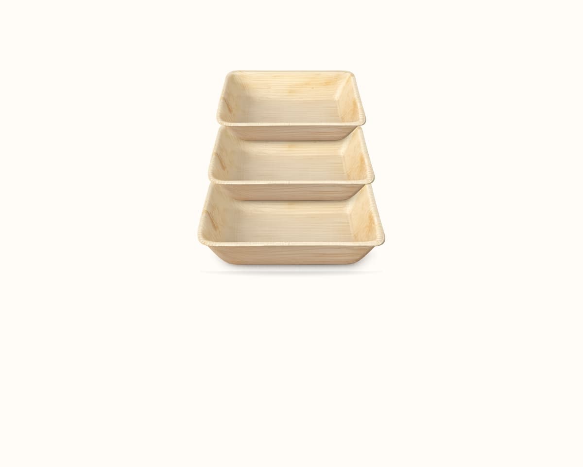 Areca Containers